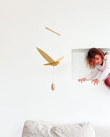 מובייל משיכה | ׳פשוש׳