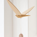 מובייל משיכה | ׳פשוש׳