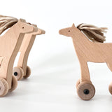 פרא עם גלגלים