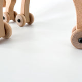 פרא עם גלגלים