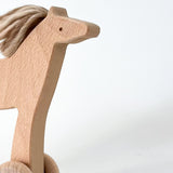 פרא עם גלגלים