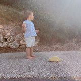 צב משיכה עם גלגלים