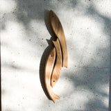 שלישיית ׳דגי ארץ׳