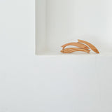 שלישיית ׳דגי ארץ׳