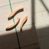 שלישיית ׳דגי ארץ׳