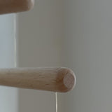 מובייל ׳דגי ארץ׳