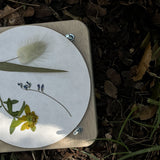 מייבש פרחים | FLOWER PRESS