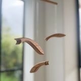 מובייל ׳דגי ארץ׳