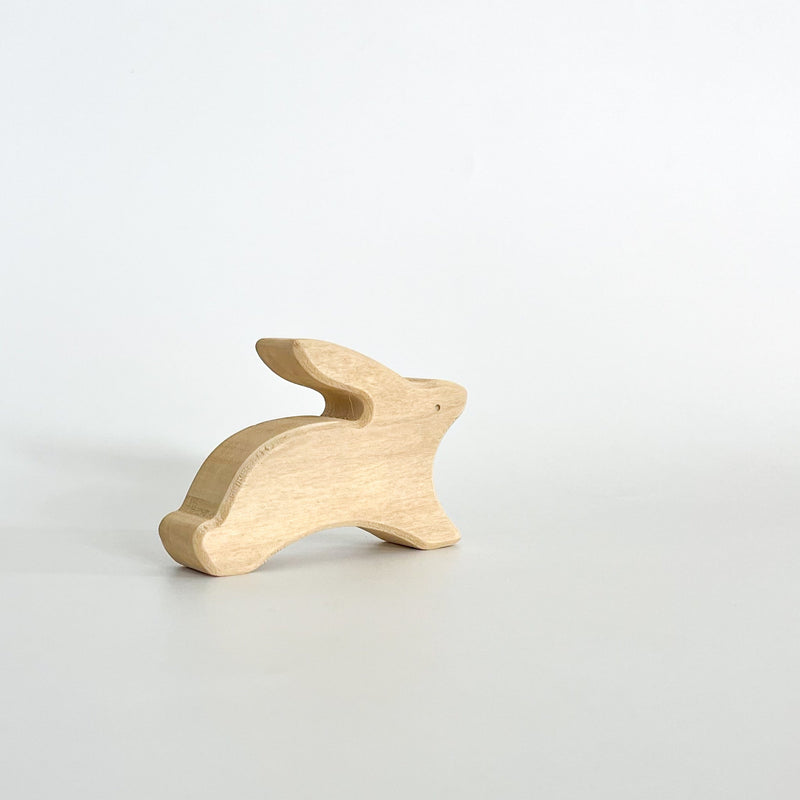 ארנבת שדה רצה