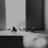 סביבוני עץ צבעוניים