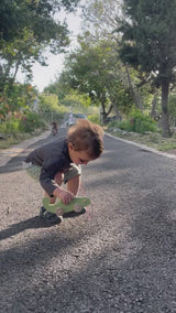 זיקית משיכה עם גלגלים | צעצועי עץ